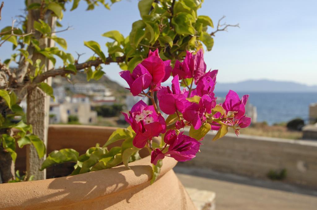 Agia Pelagia  Pantonia Apartments الغرفة الصورة